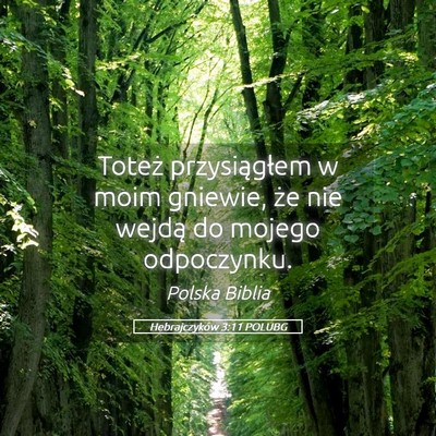 Picture 05 - Hebrajczyków 3:11 POLUBG - Toteż przysiągłem w moim gniewie, że nie - Bible Verse Picture