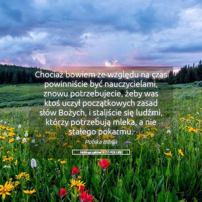 Picture 05 - Hebrajczyków 5:12 POLUBG - Chociaż bowiem ze względu na czas powinniście - Bible Verse Picture