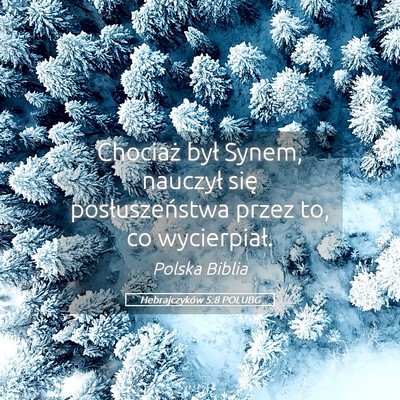 Picture 05 - Hebrajczyków 5:8 POLUBG - Chociaż był Synem, nauczył się - Bible Verse Picture