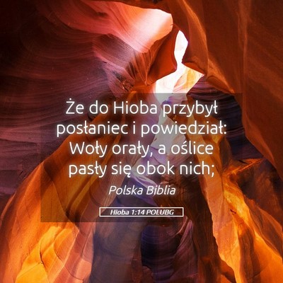 Picture 05 - Hioba 1:14 POLUBG - Że do Hioba przybył posłaniec i powiedział: - Bible Verse Picture
