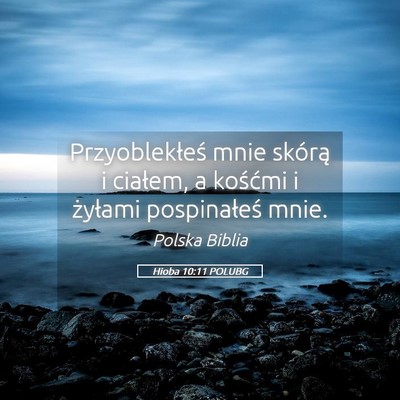 Picture 05 - Hioba 10:11 POLUBG - Przyoblekłeś mnie skórą i ciałem, a kośćmi - Bible Verse Picture