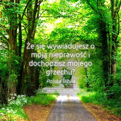 Picture 05 - Hioba 10:6 POLUBG - Że się wywiadujesz o moją nieprawość i - Bible Verse Picture