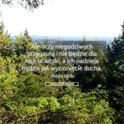 Picture 05 - Hioba 11:20 POLUBG - Ale oczy niegodziwych przygasną i nie będzie - Bible Verse Picture