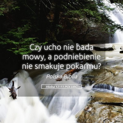 Picture 05 - Hioba 12:11 POLUBG - Czy ucho nie bada mowy, a podniebienie nie - Bible Verse Picture