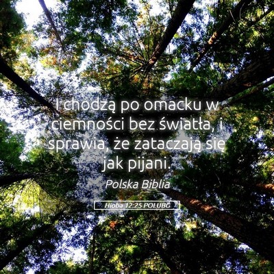 Picture 05 - Hioba 12:25 POLUBG - I chodzą po omacku w ciemności bez światła, i - Bible Verse Picture