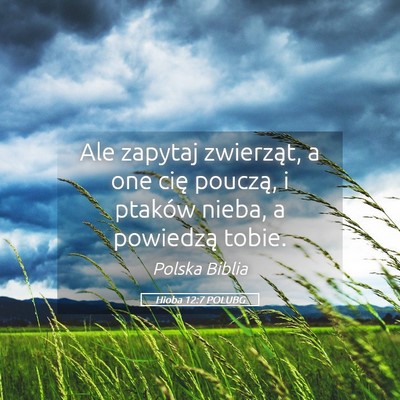 Picture 05 - Hioba 12:7 POLUBG - Ale zapytaj zwierząt, a one cię pouczą, i - Bible Verse Picture