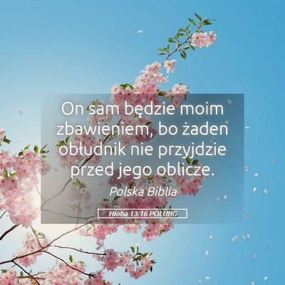 Picture 05 - Hioba 13:16 POLUBG - On sam będzie moim zbawieniem, bo żaden - Bible Verse Picture