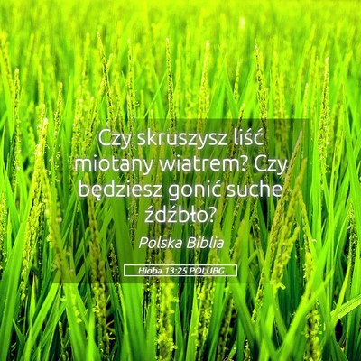 Picture 05 - Hioba 13:25 POLUBG - Czy skruszysz liść miotany wiatrem? Czy - Bible Verse Picture