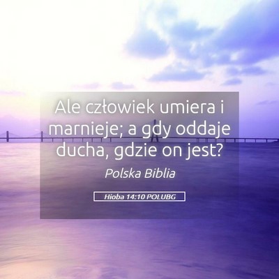 Picture 05 - Hioba 14:10 POLUBG - Ale człowiek umiera i marnieje; a gdy oddaje - Bible Verse Picture
