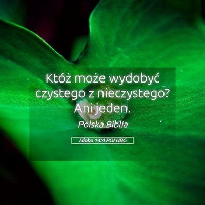 Picture 05 - Hioba 14:4 POLUBG - Któż może wydobyć czystego z nieczystego? Ani - Bible Verse Picture