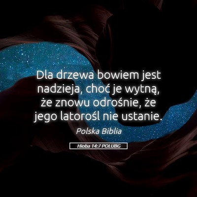 Picture 05 - Hioba 14:7 POLUBG - Dla drzewa bowiem jest nadzieja, choć je wytną, - Bible Verse Picture
