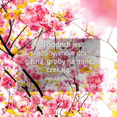 Picture 05 - Hioba 17:1 POLUBG - Mój oddech jest skażony, moje dni gasną, groby - Bible Verse Picture