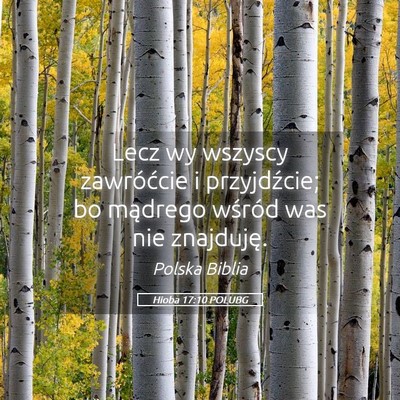 Picture 05 - Hioba 17:10 POLUBG - Lecz wy wszyscy zawróćcie i przyjdźcie; bo - Bible Verse Picture