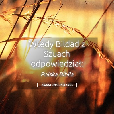 Picture 05 - Hioba 18:1 POLUBG - Wtedy Bildad z Szuach - Bible Verse Picture
