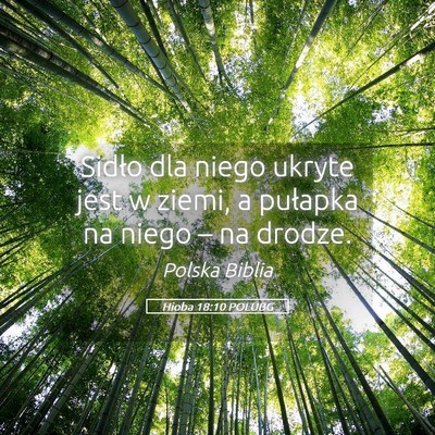 Picture 05 - Hioba 18:10 POLUBG - Sidło dla niego ukryte jest w ziemi, a pułapka - Bible Verse Picture