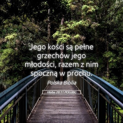 Picture 05 - Hioba 20:11 POLUBG - Jego kości są pełne grzechów jego młodości, - Bible Verse Picture