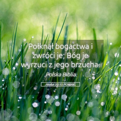 Picture 05 - Hioba 20:15 POLUBG - Połknął bogactwa i zwróci je; Bóg je wyrzuci - Bible Verse Picture