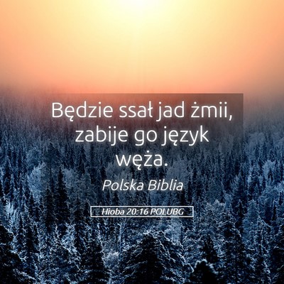 Picture 05 - Hioba 20:16 POLUBG - Będzie ssał jad żmii, zabije go język - Bible Verse Picture