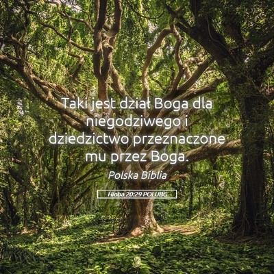 Picture 05 - Hioba 20:29 POLUBG - Taki jest dział Boga dla niegodziwego i - Bible Verse Picture