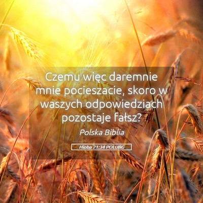Picture 05 - Hioba 21:34 POLUBG - Czemu więc daremnie mnie pocieszacie, skoro w - Bible Verse Picture