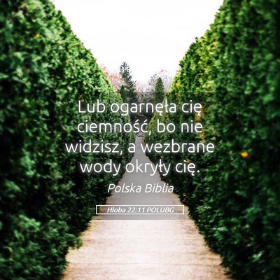 Picture 05 - Hioba 22:11 POLUBG - Lub ogarnęła cię ciemność, bo nie widzisz, a - Bible Verse Picture