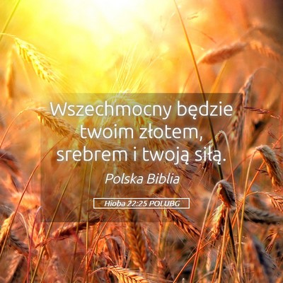 Picture 05 - Hioba 22:25 POLUBG - Wszechmocny będzie twoim złotem, srebrem i - Bible Verse Picture
