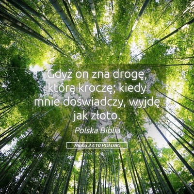Picture 05 - Hioba 23:10 POLUBG - Gdyż on zna drogę, którą kroczę; kiedy mnie - Bible Verse Picture