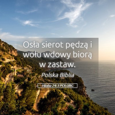 Picture 05 - Hioba 24:3 POLUBG - Osła sierot pędzą i wołu wdowy biorą w - Bible Verse Picture