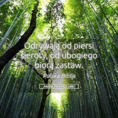 Picture 05 - Hioba 24:9 POLUBG - Odrywają od piersi sieroty, od ubogiego biorą - Bible Verse Picture