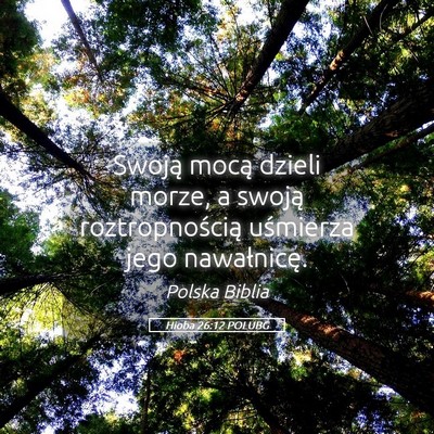 Picture 05 - Hioba 26:12 POLUBG - Swoją mocą dzieli morze, a swoją - Bible Verse Picture