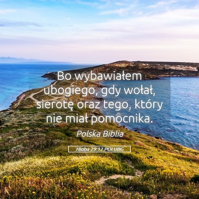 Picture 05 - Hioba 29:12 POLUBG - Bo wybawiałem ubogiego, gdy wołał, sierotę - Bible Verse Picture