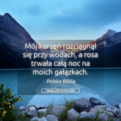 Picture 05 - Hioba 29:19 POLUBG - Mój korzeń rozciągnął się przy wodach, a - Bible Verse Picture