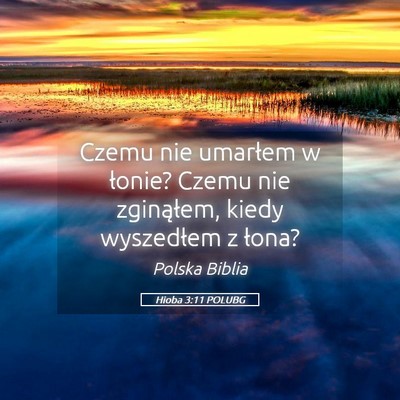 Picture 05 - Hioba 3:11 POLUBG - Czemu nie umarłem w łonie? Czemu nie - Bible Verse Picture