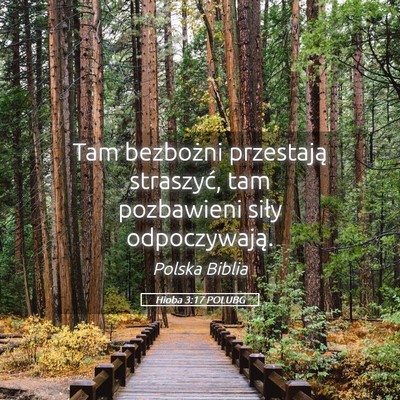 Picture 05 - Hioba 3:17 POLUBG - Tam bezbożni przestają straszyć, tam - Bible Verse Picture