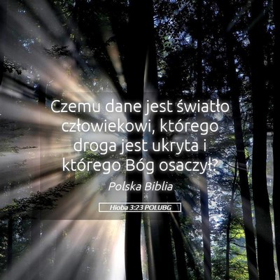 Picture 05 - Hioba 3:23 POLUBG - Czemu dane jest światło człowiekowi, którego - Bible Verse Picture