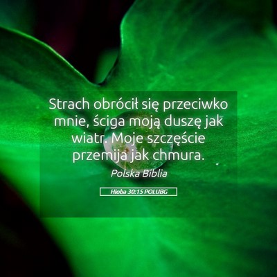 Picture 05 - Hioba 30:15 POLUBG - Strach obrócił się przeciwko mnie, ściga - Bible Verse Picture