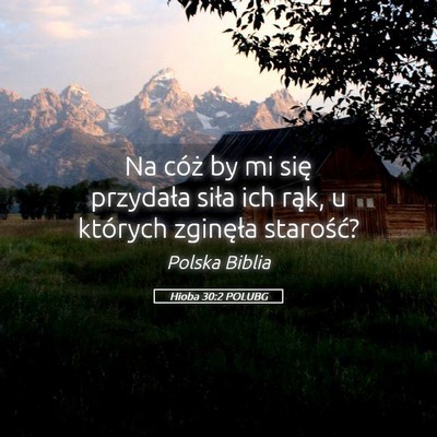 Picture 05 - Hioba 30:2 POLUBG - Na cóż by mi się przydała siła ich rąk, u - Bible Verse Picture