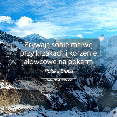 Picture 05 - Hioba 30:4 POLUBG - Zrywają sobie malwę przy krzakach i korzenie - Bible Verse Picture