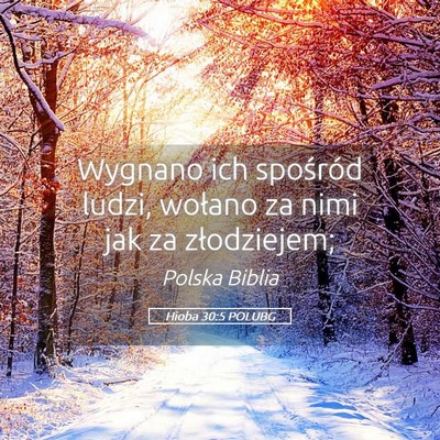 Picture 05 - Hioba 30:5 POLUBG - Wygnano ich spośród ludzi, wołano za nimi jak - Bible Verse Picture