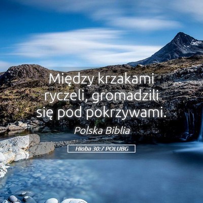 Picture 05 - Hioba 30:7 POLUBG - Między krzakami ryczeli, gromadzili się pod - Bible Verse Picture