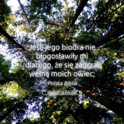 Picture 05 - Hioba 31:20 POLUBG - Jeśli jego biodra nie błogosławiły mi - Bible Verse Picture