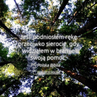 Picture 05 - Hioba 31:21 POLUBG - Jeśli podniosłem rękę przeciwko sierocie, gdy - Bible Verse Picture