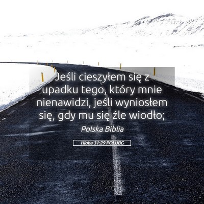 Picture 05 - Hioba 31:29 POLUBG - Jeśli cieszyłem się z upadku tego, który mnie - Bible Verse Picture