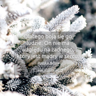 Picture 05 - Hioba 37:24 POLUBG - Dlatego boją się go ludzie. On nie ma względu - Bible Verse Picture