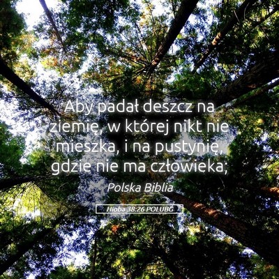 Picture 05 - Hioba 38:26 POLUBG - Aby padał deszcz na ziemię, w której nikt nie - Bible Verse Picture