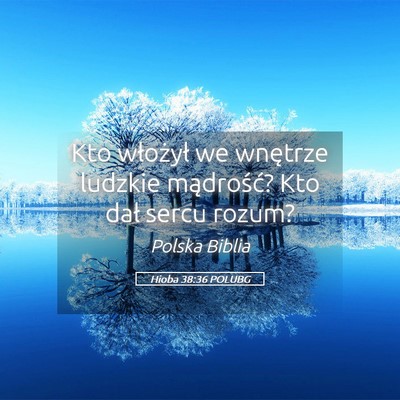 Picture 05 - Hioba 38:36 POLUBG - Kto włożył we wnętrze ludzkie mądrość? Kto - Bible Verse Picture