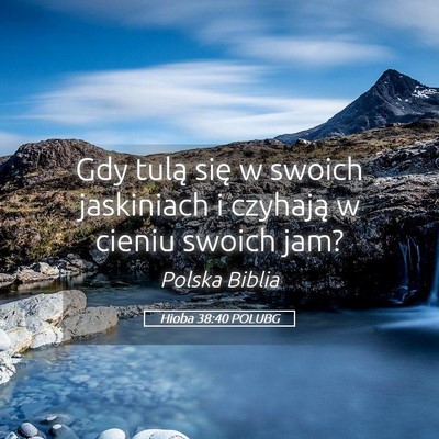 Picture 05 - Hioba 38:40 POLUBG - Gdy tulą się w swoich jaskiniach i czyhają w - Bible Verse Picture