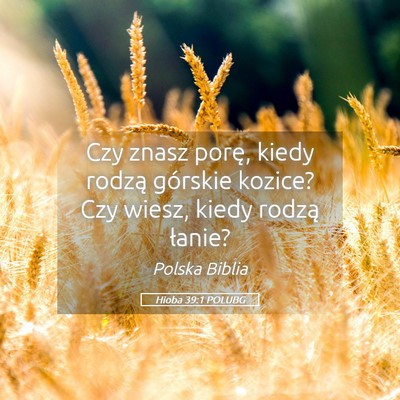Picture 05 - Hioba 39:1 POLUBG - Czy znasz porę, kiedy rodzą górskie kozice? - Bible Verse Picture