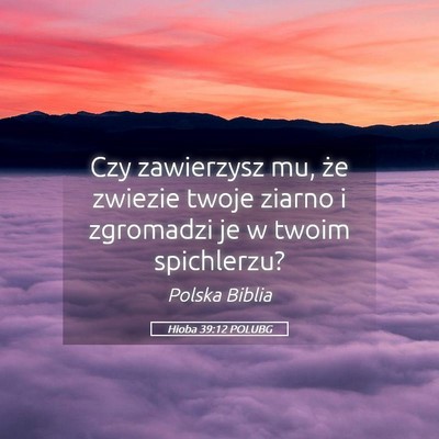 Picture 05 - Hioba 39:12 POLUBG - Czy zawierzysz mu, że zwiezie twoje ziarno i - Bible Verse Picture