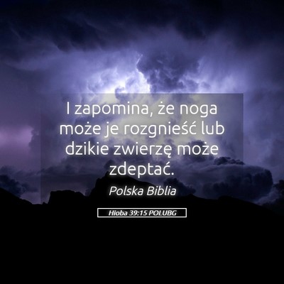 Picture 05 - Hioba 39:15 POLUBG - I zapomina, że noga może je rozgnieść lub - Bible Verse Picture